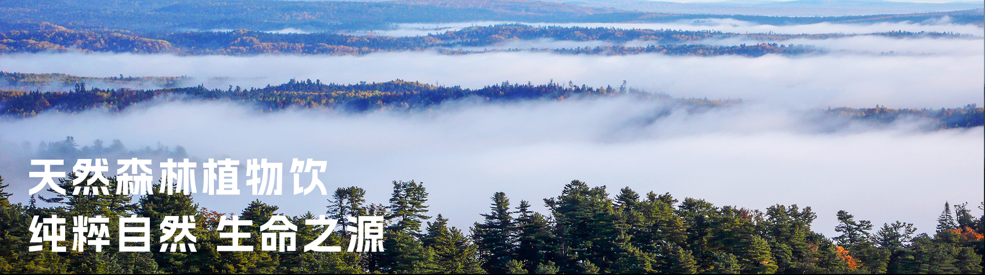 廣告標(biāo)題