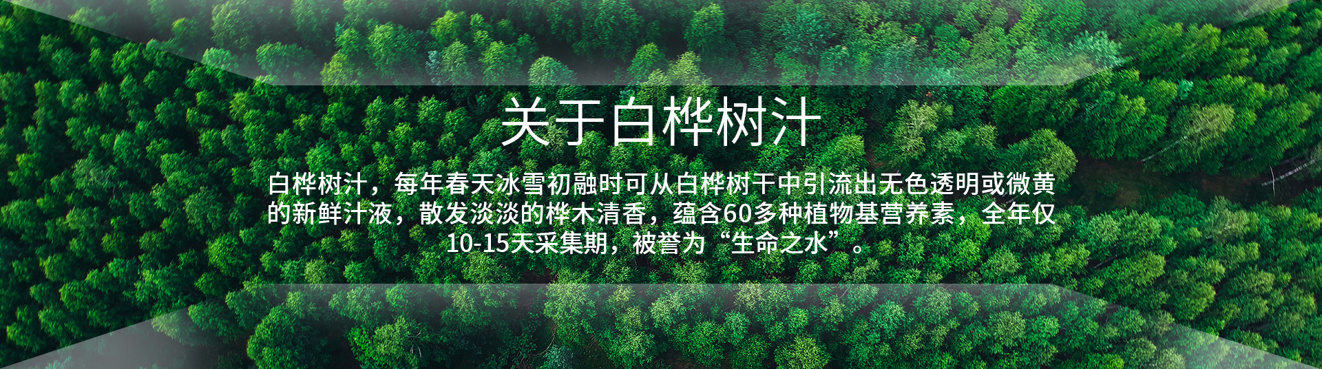廣告標(biāo)題